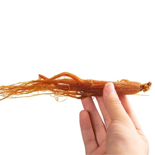 고려인삼 Hamer® Ginseng Premium Korean Red Ginseng Roots, 250g 高丽参优质韩国红参整根 - Image 2